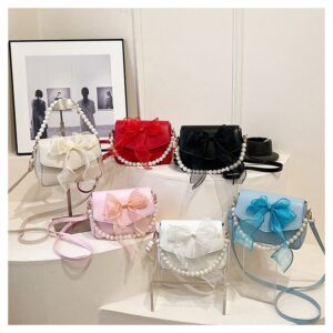 Cute Mini Bow Attached Bag VN337
